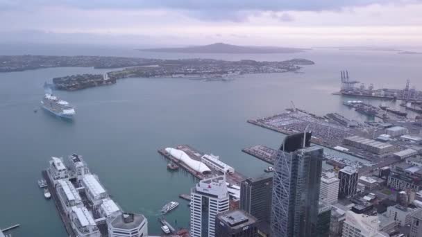 Viaduct Harbour Auckland Nouvelle Zélande Décembre 2019 Emblématique Skytower Auckland — Video