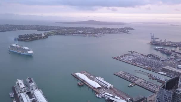 Viaduct Harbour Auckland Nouvelle Zélande Décembre 2019 Emblématique Skytower Auckland — Video