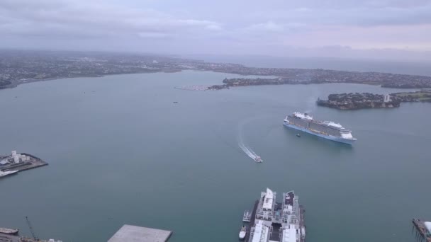 Viaduct Harbour Auckland New Zealand December 2019 Iconic Skytower Landmark — Stock Video