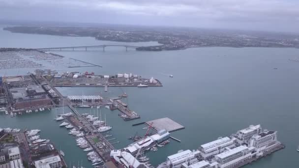 Viaduct Harbour Auckland Nueva Zelanda Diciembre 2019 Emblemático Hito Skytower — Vídeos de Stock