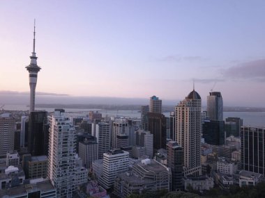 Viaduct Harbour, Auckland / New Zealand - December 31, 2019: The iconic Skytower landmark of Auckland City and its surrounding buildings