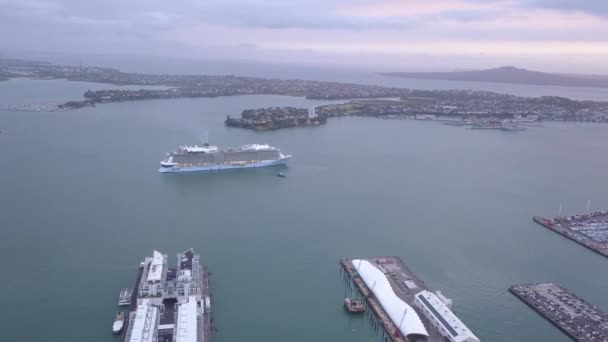 Viaduct Harbour Auckland New Zealand December 2019 Iconic Skytower Landmark — 비디오