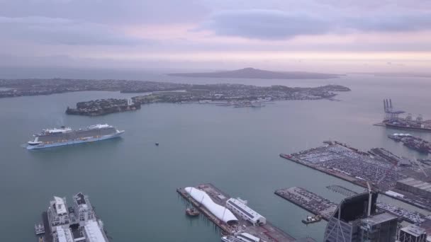 Viaduct Harbour Auckland Nueva Zelanda Diciembre 2019 Emblemático Hito Skytower — Vídeo de stock