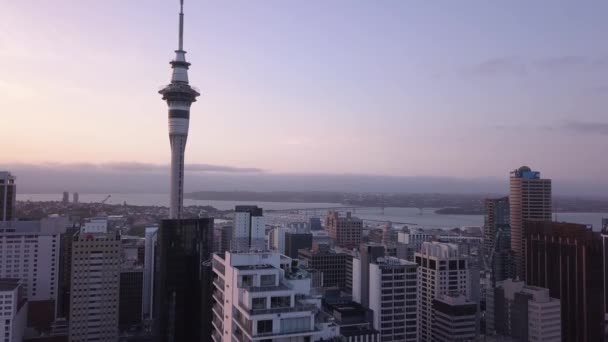 Viaduct Harbour Auckland Nieuw Zeeland December 2019 Het Iconische Skytower — Stockvideo