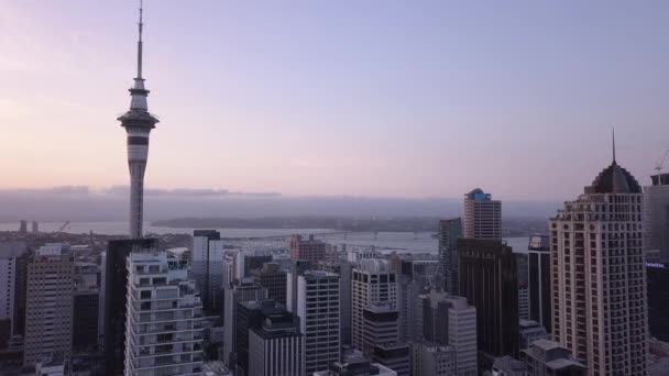 Viaduct Harbour Auckland Nieuw Zeeland December 2019 Het Iconische Skytower — Stockvideo