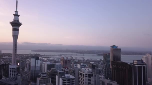 Viaduct Harbour Auckland New Zealand December 2019 Iconic Skytower Landmark — Stockvideo