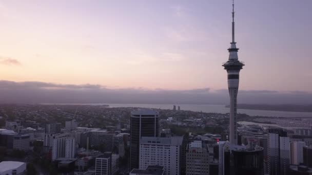 Viaduct Harbour Auckland Zéland 2019 December Auckland Város Környező Épületeinek — Stock videók