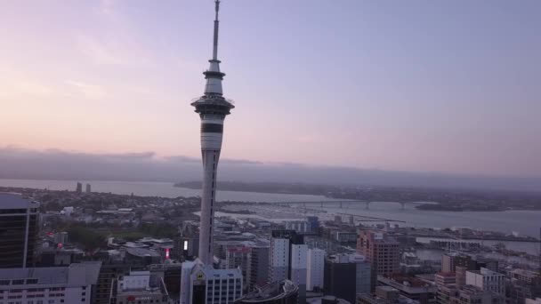 Viaduct Harbour Auckland Nueva Zelanda Diciembre 2019 Emblemático Hito Skytower — Vídeos de Stock