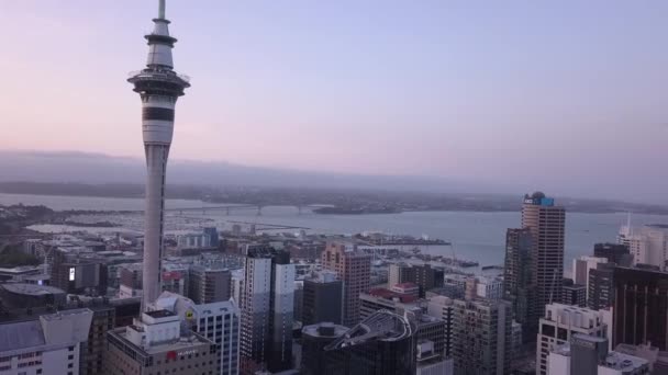 Viaduct Harbour Окленд Нова Зеландія Грудня 2019 Iconic Skytower Landmark — стокове відео