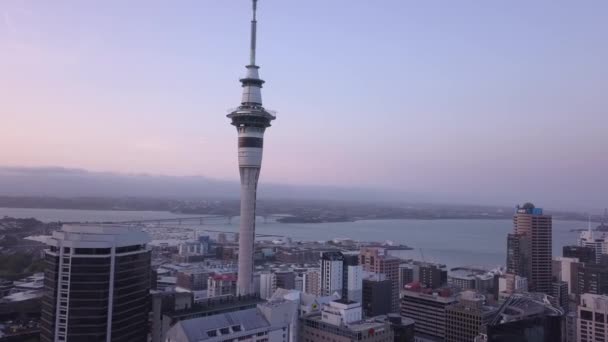 Viaduct Harbour Auckland New Zealand December 2019 Iconic Skytower Landmark — 비디오