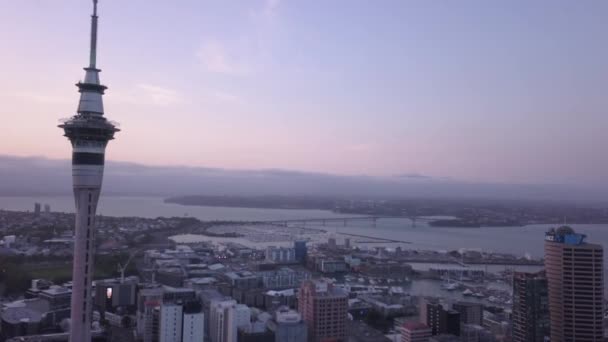 Viaduct Harbour Auckland Nueva Zelanda Diciembre 2019 Emblemático Hito Skytower — Vídeos de Stock