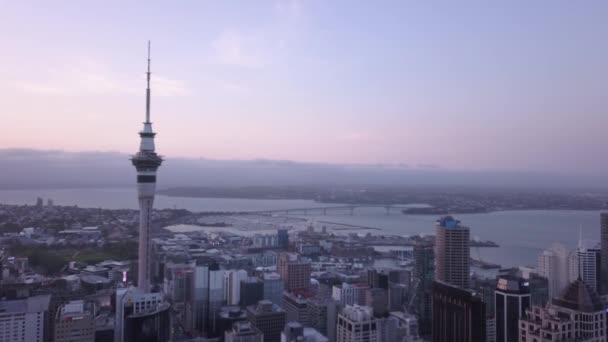 Viaduct Harbour Auckland Nueva Zelanda Diciembre 2019 Emblemático Hito Skytower — Vídeos de Stock