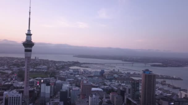 Viaduct Harbour Auckland New Zealand December 2019 Iconic Skytower Landmark — Stock Video