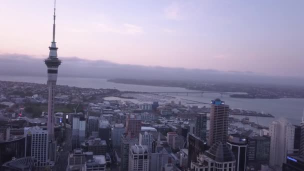 Viaduct Harbour Auckland Nieuw Zeeland December 2019 Het Iconische Skytower — Stockvideo