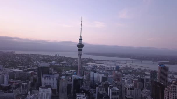 Viadukt Harbour Auckland Nový Zéland Prosince 2019 Kultovní Dominanta Skytower — Stock video