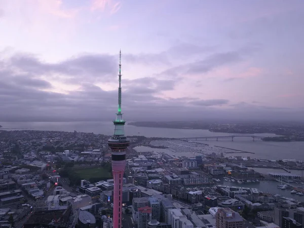 Viaduct Harbour Auckland Nieuw Zeeland December 2019 Het Iconische Skytower — Stockfoto