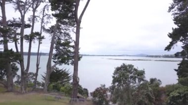 Waiheke Adası, Auckland / Yeni Zelanda - 31 Aralık 2019: Muhteşem plajları, kıyıları, tepe arazileri ve üzüm bağlarıyla Yeni Zelanda 'nın cennet adası Waiheke