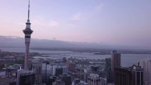 Viaduct Harbour Auckland Nueva Zelanda Diciembre 2019 Emblemático Hito Skytower — Vídeos de Stock