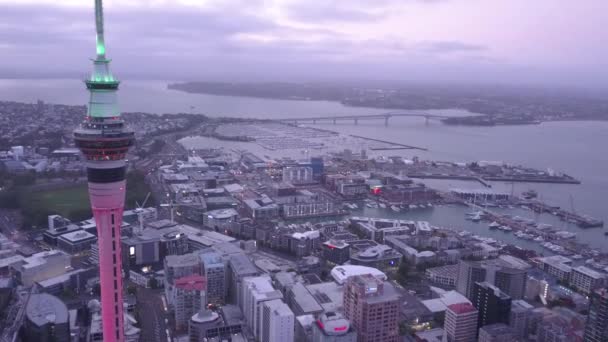 Viaduct Harbour Auckland Nova Zelândia Dezembro 2019 Icônico Marco Skytower — Vídeo de Stock