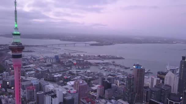 Viaduct Harbour Auckland New Zealand December 2019 Iconic Skytower Landmark — Stok video