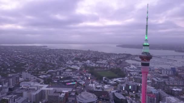 Viaduct Harbour Auckland Nueva Zelanda Diciembre 2019 Emblemático Hito Skytower — Vídeos de Stock