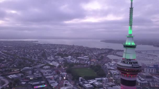 Viaduct Harbour Auckland Nueva Zelanda Diciembre 2019 Emblemático Hito Skytower — Vídeos de Stock