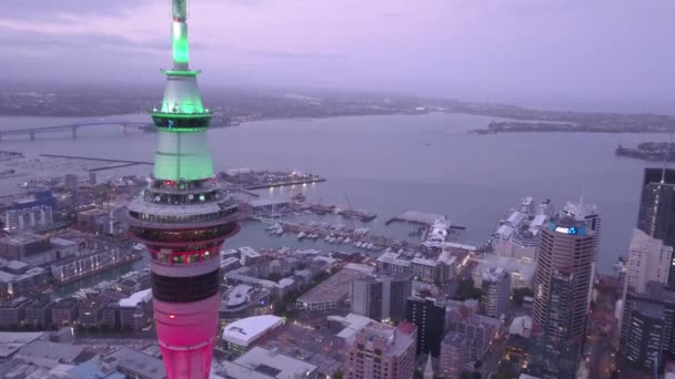 Viaduct Harbour Auckland New Zealand December 2019 Iconic Skytower Landmark — Stock Video