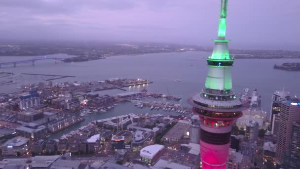 Viaduct Harbour Auckland New Zealand December 2019 Iconic Skytower Landmark — Stok video