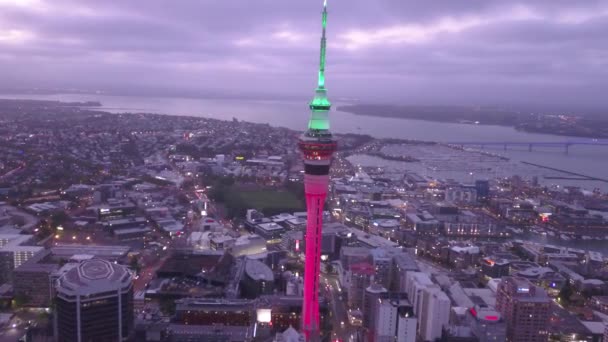 Viaduct Harbour Auckland Nueva Zelanda Diciembre 2019 Emblemático Hito Skytower — Vídeos de Stock