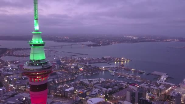 Viaduct Harbour Auckland New Zealand December 2019 Iconic Skytower Landmark — Stock Video