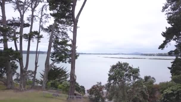 Waiheke Island Auckland Nya Zeeland December 2019 Paradisön Waiheke Nya — Stockvideo