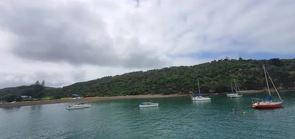 Waiheke Island Auckland Νέα Ζηλανδία Δεκεμβρίου 2019 Παραδεισένιο Νησί Waiheke — Φωτογραφία Αρχείου