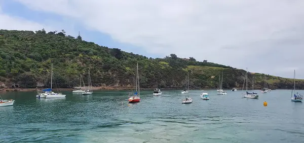 Waiheke Island Auckland Nový Zéland Prosince 2019 Paradise Island Waiheke — Stock fotografie