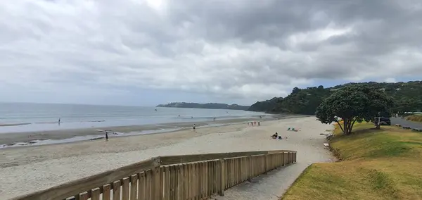 Isla Waiheke Auckland Nueva Zelanda Diciembre 2019 Isla Paradisíaca Waiheke — Foto de Stock