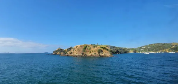 Waiheke Island Auckland Nieuw Zeeland December 2019 Het Paradijselijke Eiland — Stockfoto