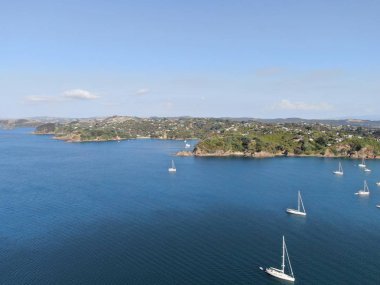 Waiheke Adası, Auckland / Yeni Zelanda - 31 Aralık 2019: Muhteşem plajları, kıyıları, tepe arazileri ve üzüm bağlarıyla Yeni Zelanda 'nın cennet adası Waiheke