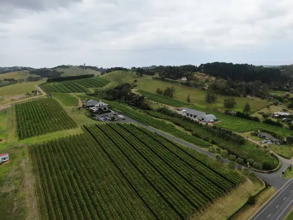 Waiheke Island Auckland New Zealand Dezember 2019 Die Paradiesische Insel — Stockfoto