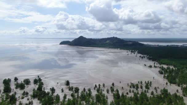 Kuching Sarawak Malaysia January 2020 Bako National Park Sarawak Borneo — 비디오