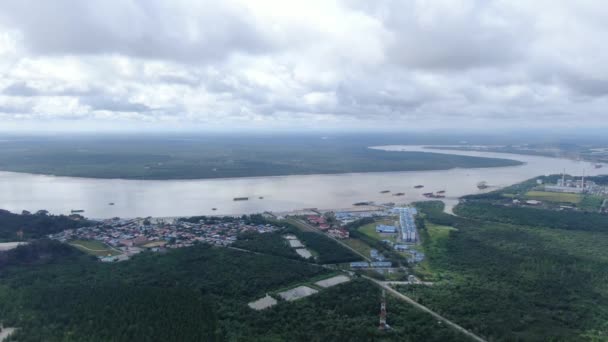 Kuching Sarawak Malasia Enero 2020 Parque Nacional Bako Sarawak Isla — Vídeos de Stock