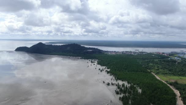 Kuching Sarawak Malezya Ocak 2020 Sarawak Bako Ulusal Parkı Borneo — Stok video