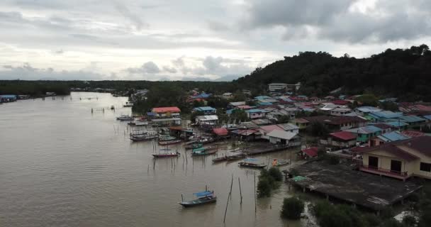 Kuching Sarawak Malaysia Gennaio 2020 Parco Nazionale Bako Sarawak Isola — Video Stock