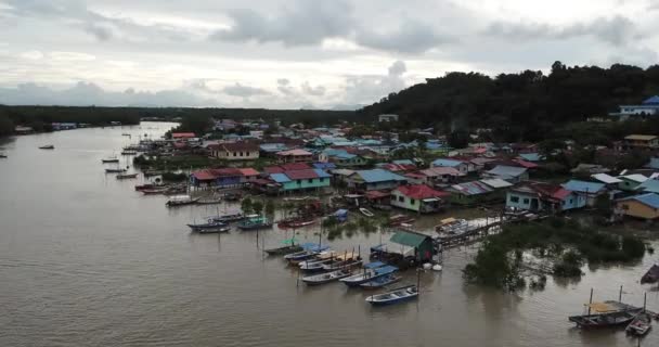 Kuching Sarawak Malezya Ocak 2020 Sarawak Bako Ulusal Parkı Borneo — Stok video