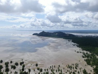 Kuching, Sarawak / Malezya - 12 Ocak 2020: Sarawak Bako Ulusal Parkı, Borneo Adası, Malezya