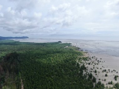 Kuching, Sarawak / Malezya - 12 Ocak 2020: Sarawak Bako Ulusal Parkı, Borneo Adası, Malezya