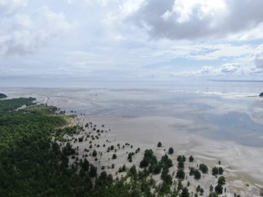 Kuching, Sarawak / Malezya - 12 Ocak 2020: Sarawak Bako Ulusal Parkı, Borneo Adası, Malezya