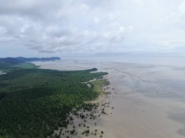 Kuching, Sarawak / Malezya - 12 Ocak 2020: Sarawak Bako Ulusal Parkı, Borneo Adası, Malezya