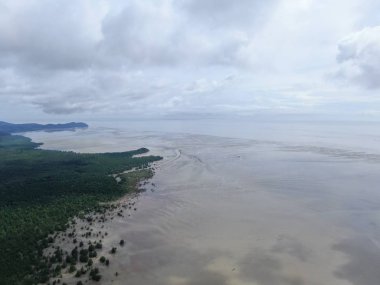 Kuching, Sarawak / Malezya - 12 Ocak 2020: Sarawak Bako Ulusal Parkı, Borneo Adası, Malezya