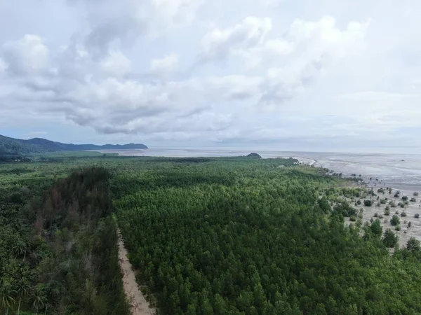 Kuching Sarawak Malasia Enero 2020 Parque Nacional Bako Sarawak Isla — Foto de Stock