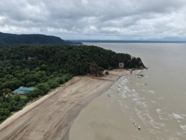 Kuching, Sarawak / Malezya - 12 Ocak 2020: Sarawak Bako Ulusal Parkı, Borneo Adası, Malezya