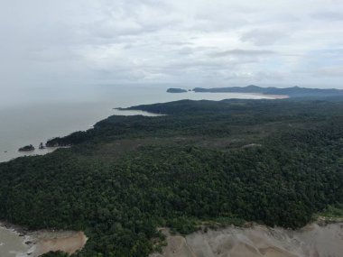 Kuching, Sarawak / Malezya - 12 Ocak 2020: Sarawak Bako Ulusal Parkı, Borneo Adası, Malezya